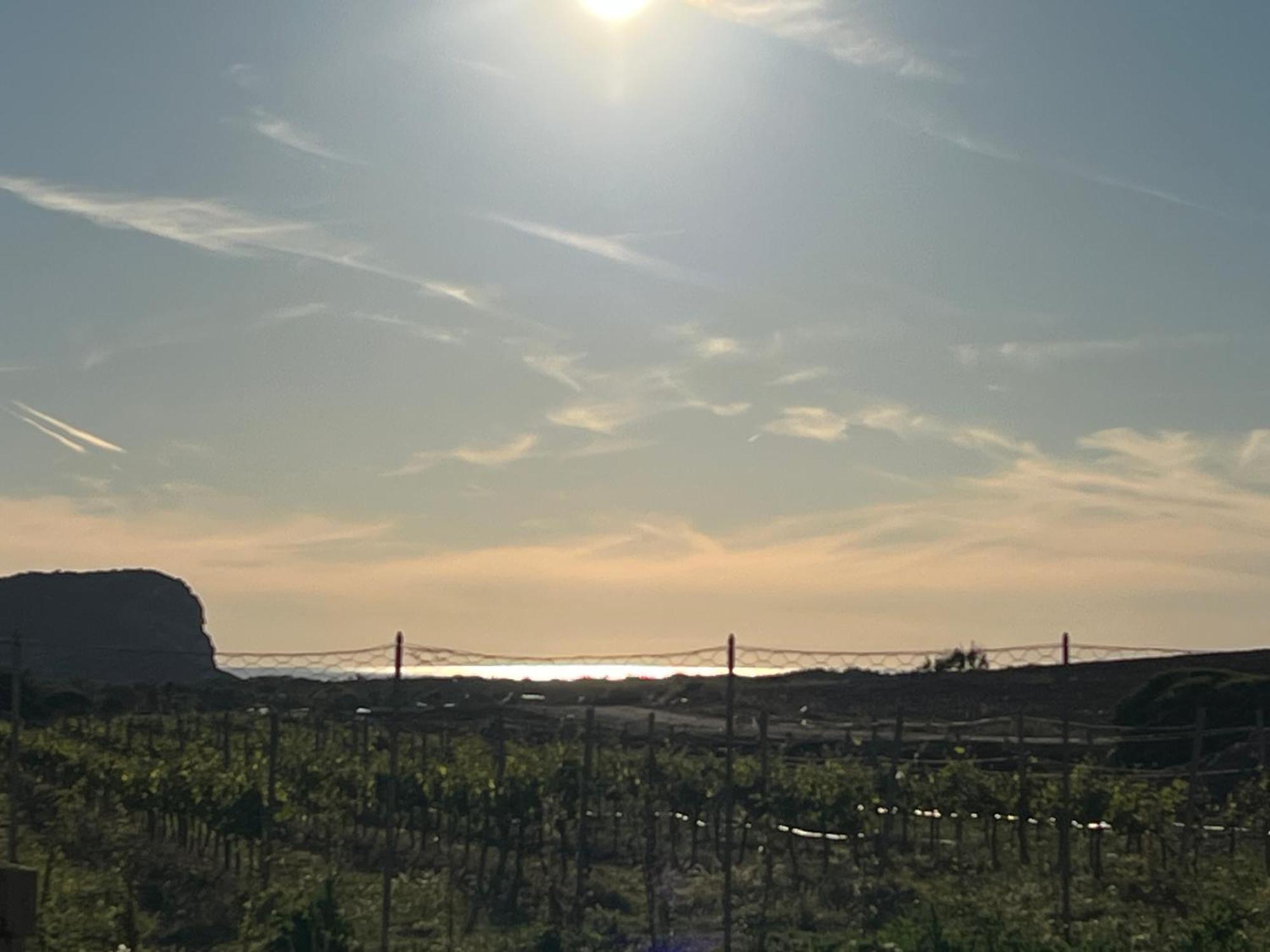 The Arches House Bed And Breakfast Iun F1092 Alghero Luaran gambar